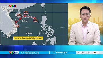 Dự báo thời tiết 5h30 - 20/10/2025 | Bão số 12 hôm nay sẽ tăng cấp | VTVWDB