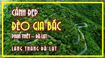 CẢNH ĐẸP CUNG ĐƯỜNG ĐÈO GIA BẮC TỪ PHAN THIẾT ĐI ĐÀ LẠT | LANG THANG ĐÀ LẠT