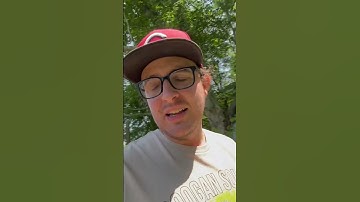 We Lost More Chickens to the Predator... #chickencoop #chickens #eggs #rooster #predators