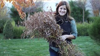 Quick Tip: Best Way to Cut Down Tall Perennials and Grasses