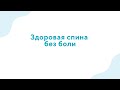 Вебинар «Здоровая спина без боли»  - 05.04.23