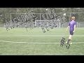 Awesome Free Kick Session #7 (Knuckleballs, Dips, Curves, Saves and More) HD