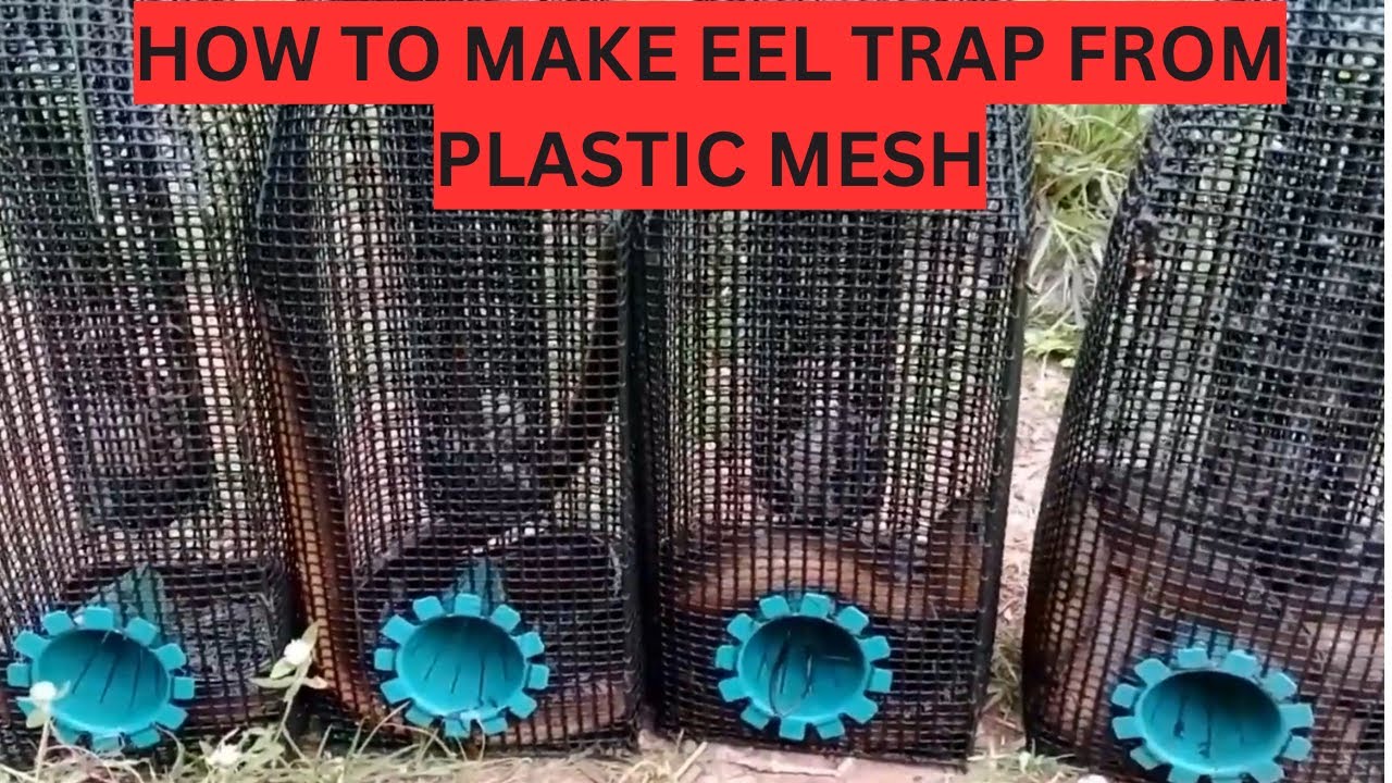 Paano gumawa ng eel trap ( palos,kasili,igat), BUSHCRAFT, fishing, hunting, trapping, CAMPING