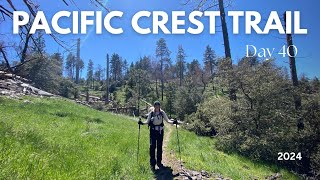 Pacific Crest Trail 2024 Day 40