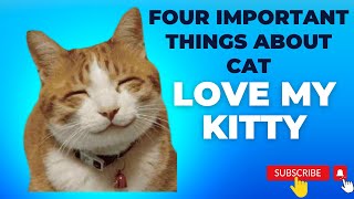 Four important things about house cat..