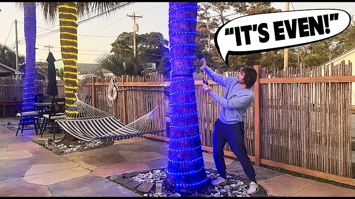 Make your palm trees GLOW at night like a resort!