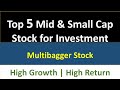 Top 5 Mid Cap Multibagger Stock to Invest | Potential to become large cap| With High Return & Profit