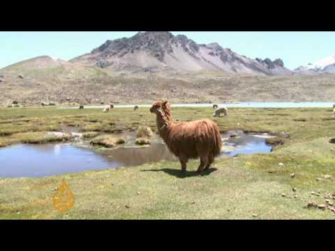 الأنهار الجليدية الاستوائية في بيرو مهددة - 17 ديسمبر 2009
