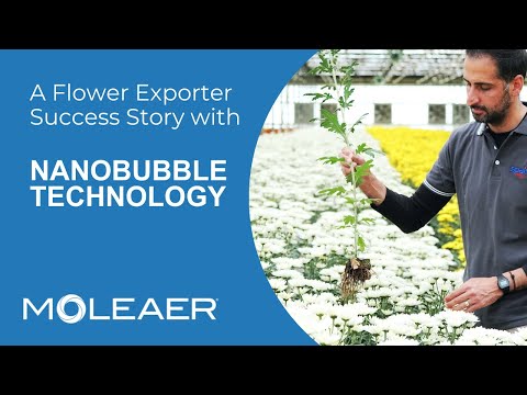 Flower exporter significantly improves water quality and soil structure with nanobubble technology
