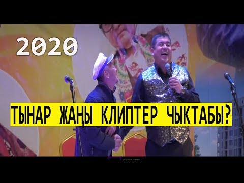 Video: Жаңы мышыкты үйгө тааныштыруу