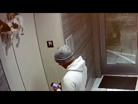 Hero Rescues Dog Hanging From Elevator