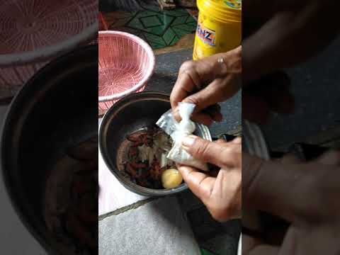 umpan-ikan-mas-jitu-bapak-aleh-yg-terkenal