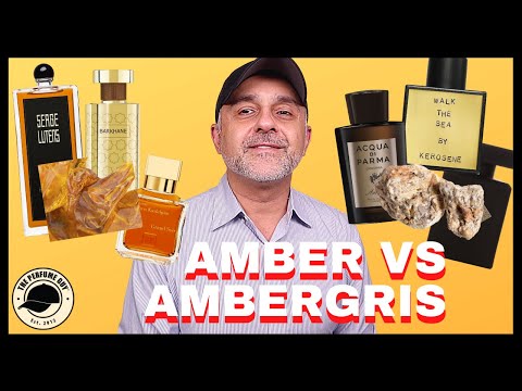 Vídeo: A Què Fa Olor L’ambergris?