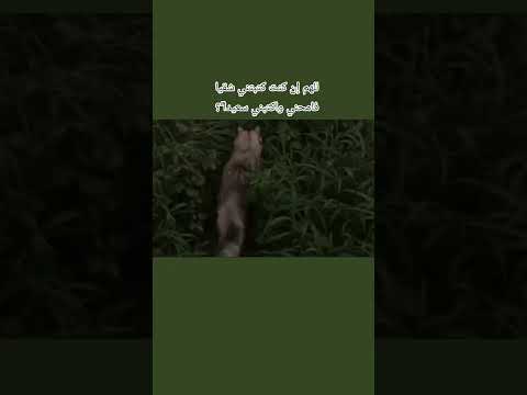 للهم إن كنت كتبتني شقيا فامحني واكتبني سعيدا 