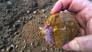 California Hidden Agate Jaspagate | Rockhounding Lake Mendocino