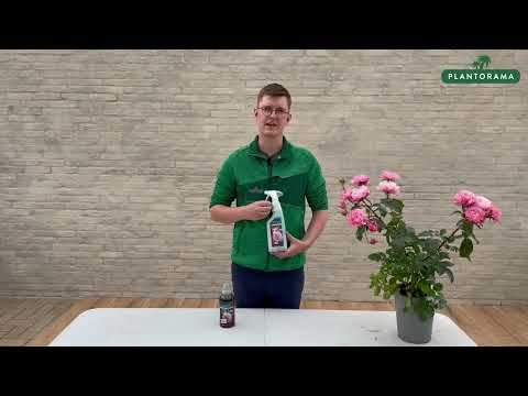 GroGreen Feed &