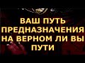 ВАШ ПУТЬ ПРЕДНАЗНАЧЕНИЯ НА ВЕРНОМ ЛИ ВЫ ПУТИ гадания карты таро любви сегодня