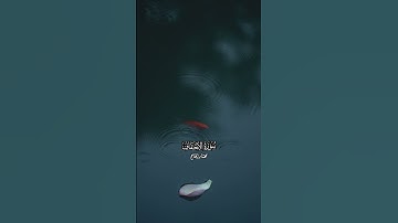 قران كريم#quran #اكسبلور #quran #flowers #قرآن