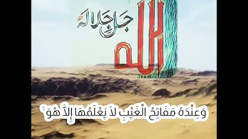 "وعنده مفاتح الغيب لا يعلمها إلاَّ هو" بصوت القارئ إدريس أبكر من سورة الأنعام | تلاوة خاشعة | قرآن.