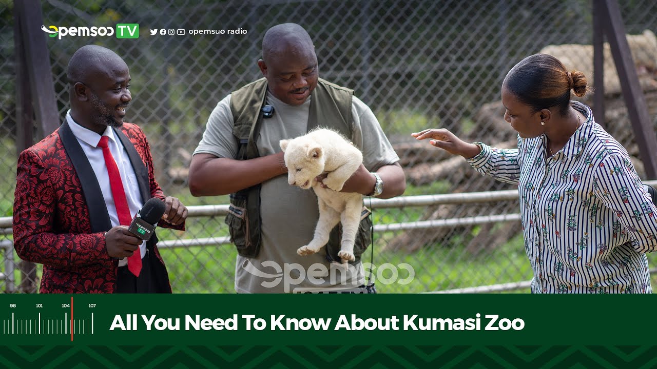 All You Need To Know About Kumasi Zoo