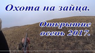 Охота на зайца. Открытие сезона осень 2017-2018. Охота на зайца. Открытие сезона осень 2017-2018.