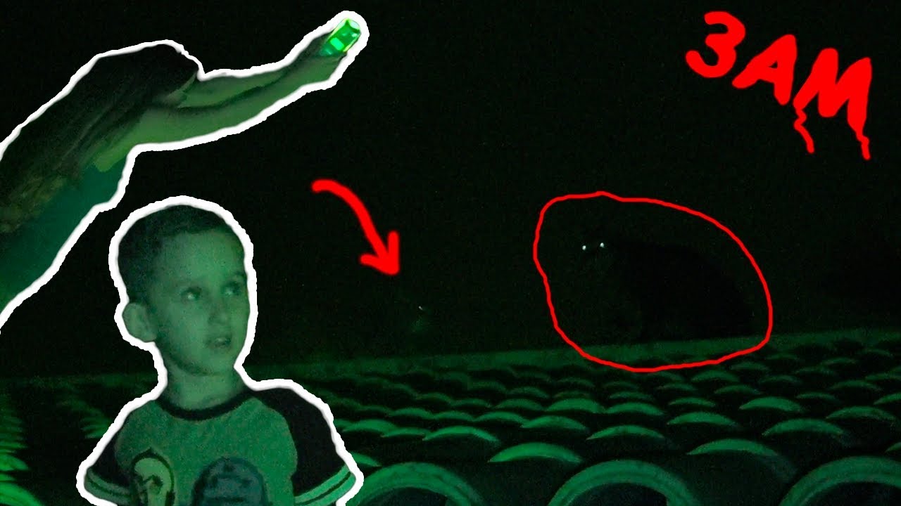 GATOS NO TELHADO AS 3H da MADRUGADA? - Família Paulinho e Toquinho