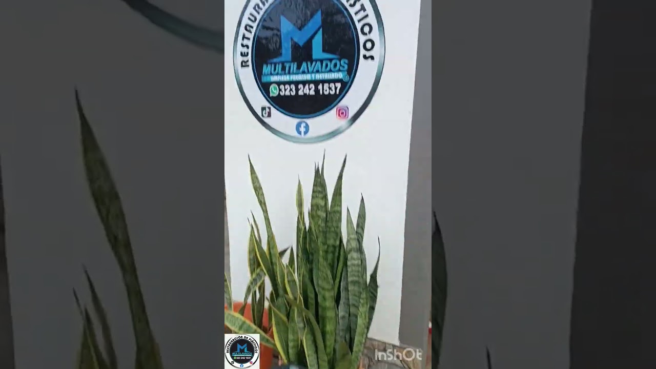 Polichado de plásticos más restauración de metales