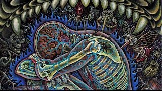 Ayahuasca: The Dangerous & Harmful Side of 