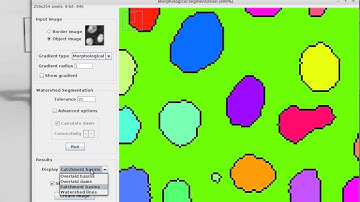 Introduction to the Morphological Segmentation plugin (ImageJ/Fiji)