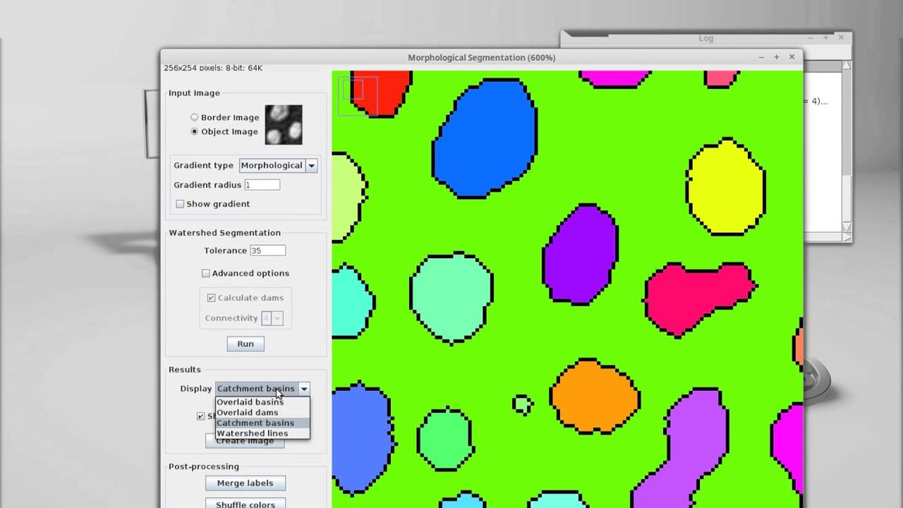 Introduction To The Morphological Segmentation Plugin Imagejfiji