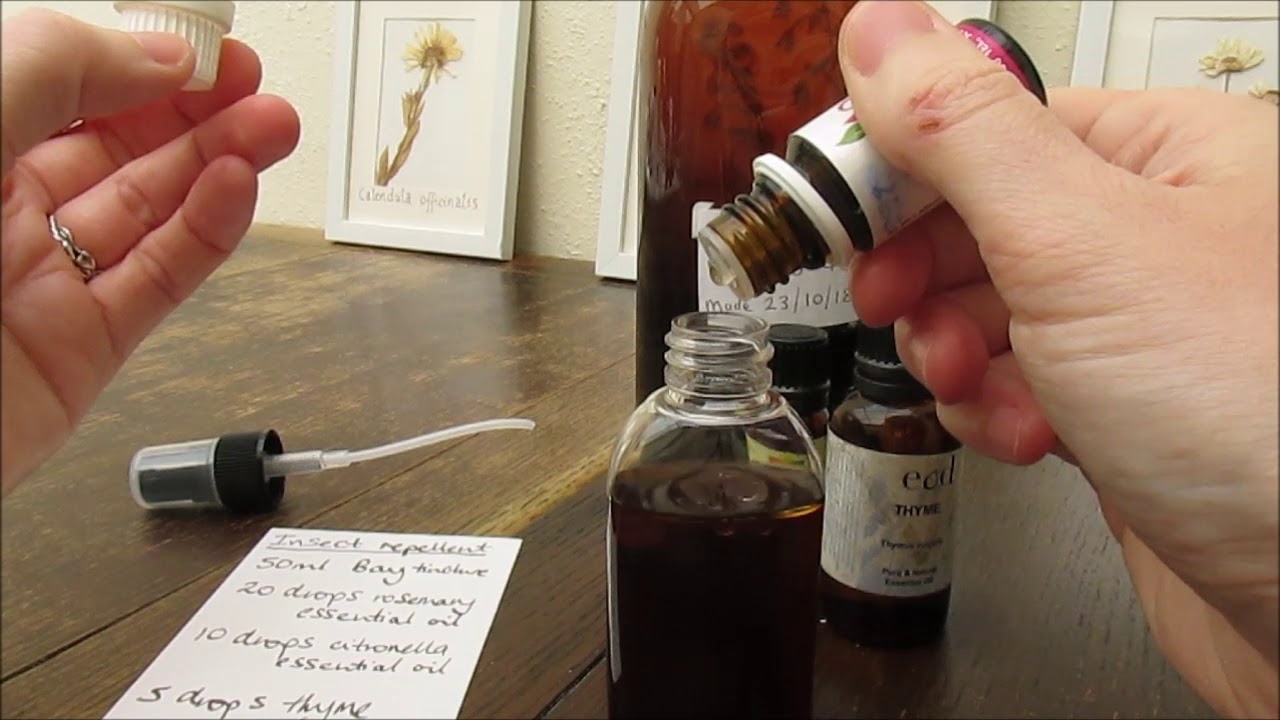 Making A Natural Insect Repellent YouTube