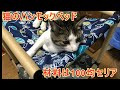 【100均素材で猫ハンモックDIY】セリアで揃う素材で簡単！