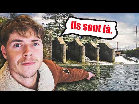 Pêche en ville avec du pain