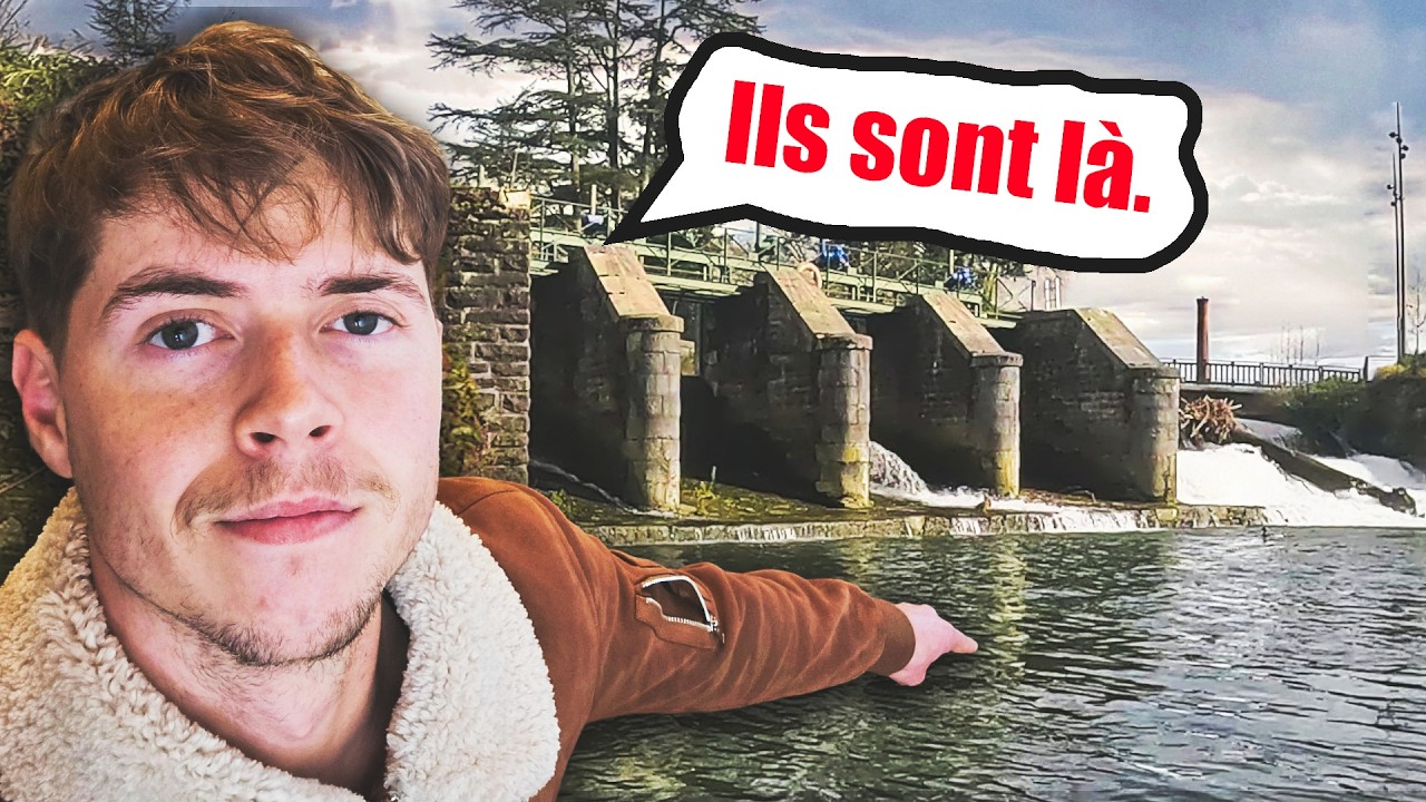 Pêche en ville avec du pain