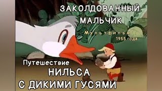 ЗАКОЛДОВАННЫЙ МАЛЬЧИК, мультфильм 1955г. по сказке С. Лагерлёф \