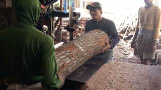 proses penggergajian kayu mahoni hasilnya memuaskan..