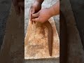 diy tractor mini wheat all process science project|wheat A-Z process|‎‎@FXCFomini  #0441