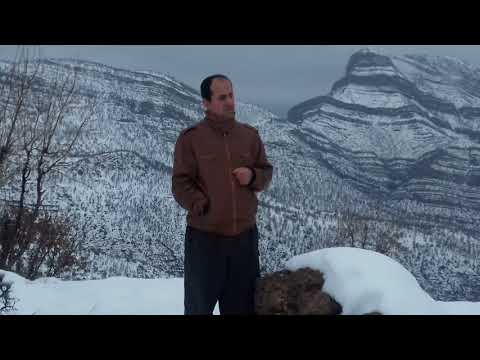 Hısene şırnexi