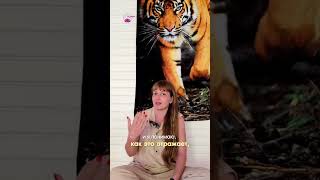 Testimonial 3rd Chakra  Retreat Aloka Svitlana - Отзыв о ретрите Третьей чакры - Алока Светлана