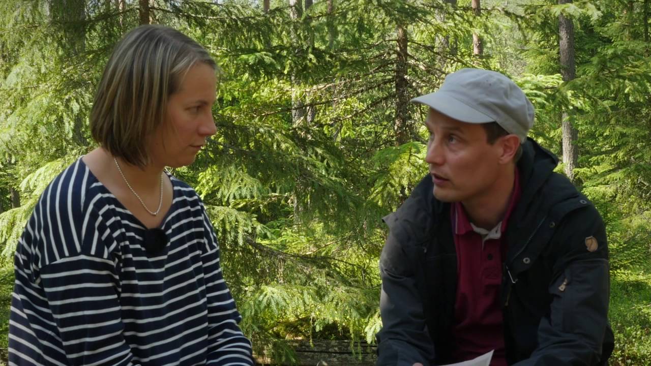 FSC®-metsäsuunnitelma