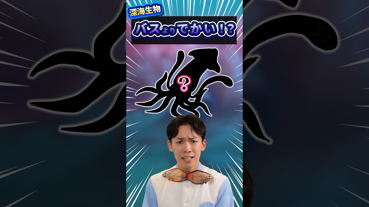 かわちゃん豆知識 | 富山湾おさかなドンジャラ | 富山テレビ放送