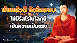ฟังแล้วปล่อยวาง 💕 ฟังแล้วมีสติ มีกำลังใจ เหนื่อยมากันทั้งวันแล้ว ☘️ Thai Dhamma Radio