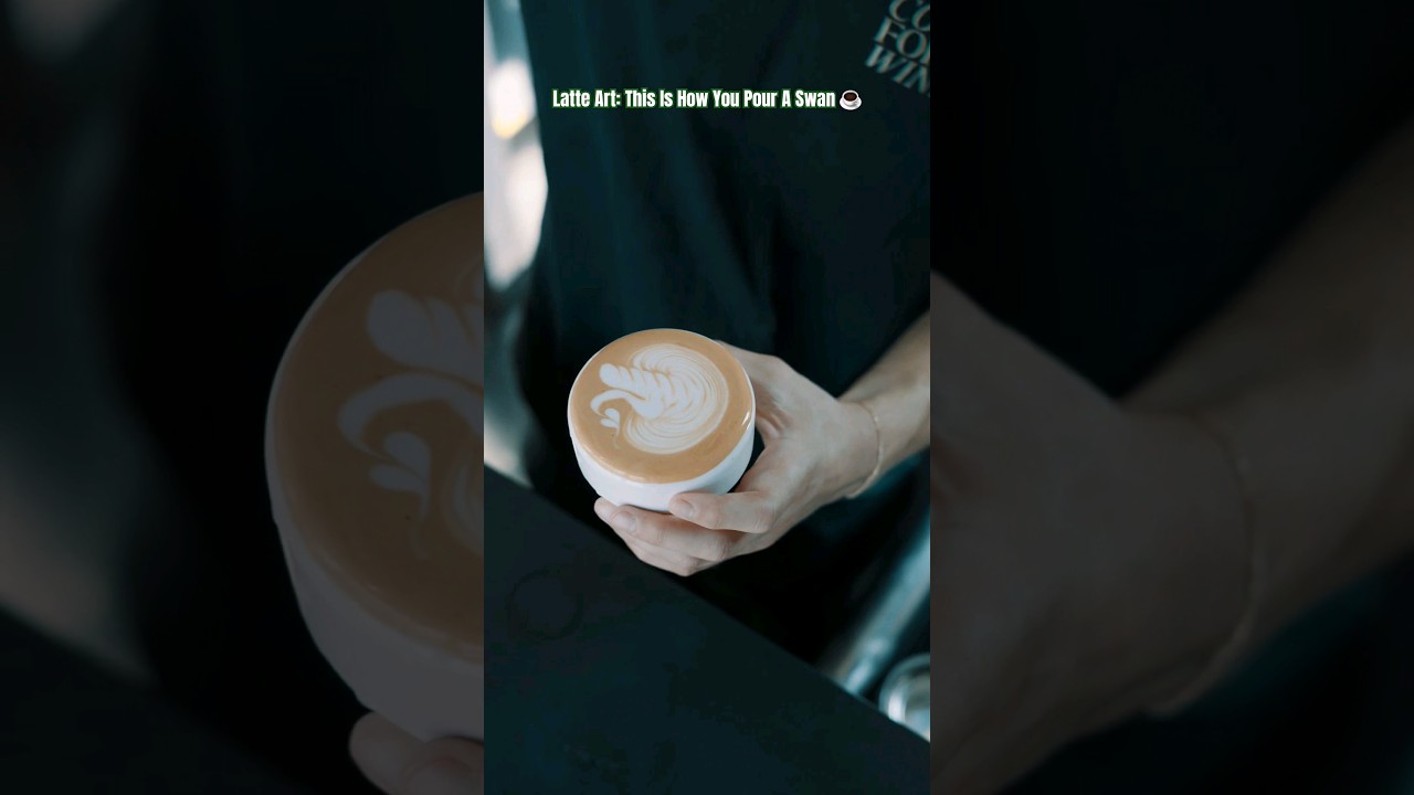 Latte Art: This is how you pour a beautiful swan ☕️ 