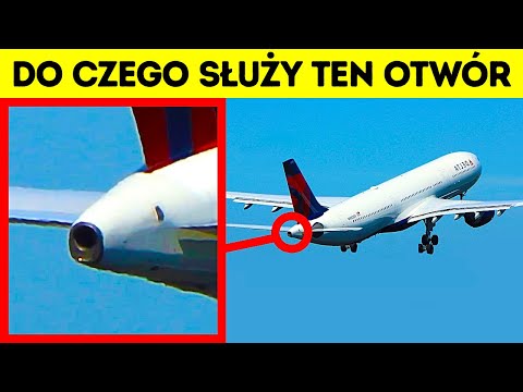 Wideo: 19 powodów, dla których Cuddles dla psów są najlepszymi przytulankami