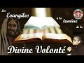 LE MARTYR DE LA VIE DANS LA DIVINE VOLONTÉ.