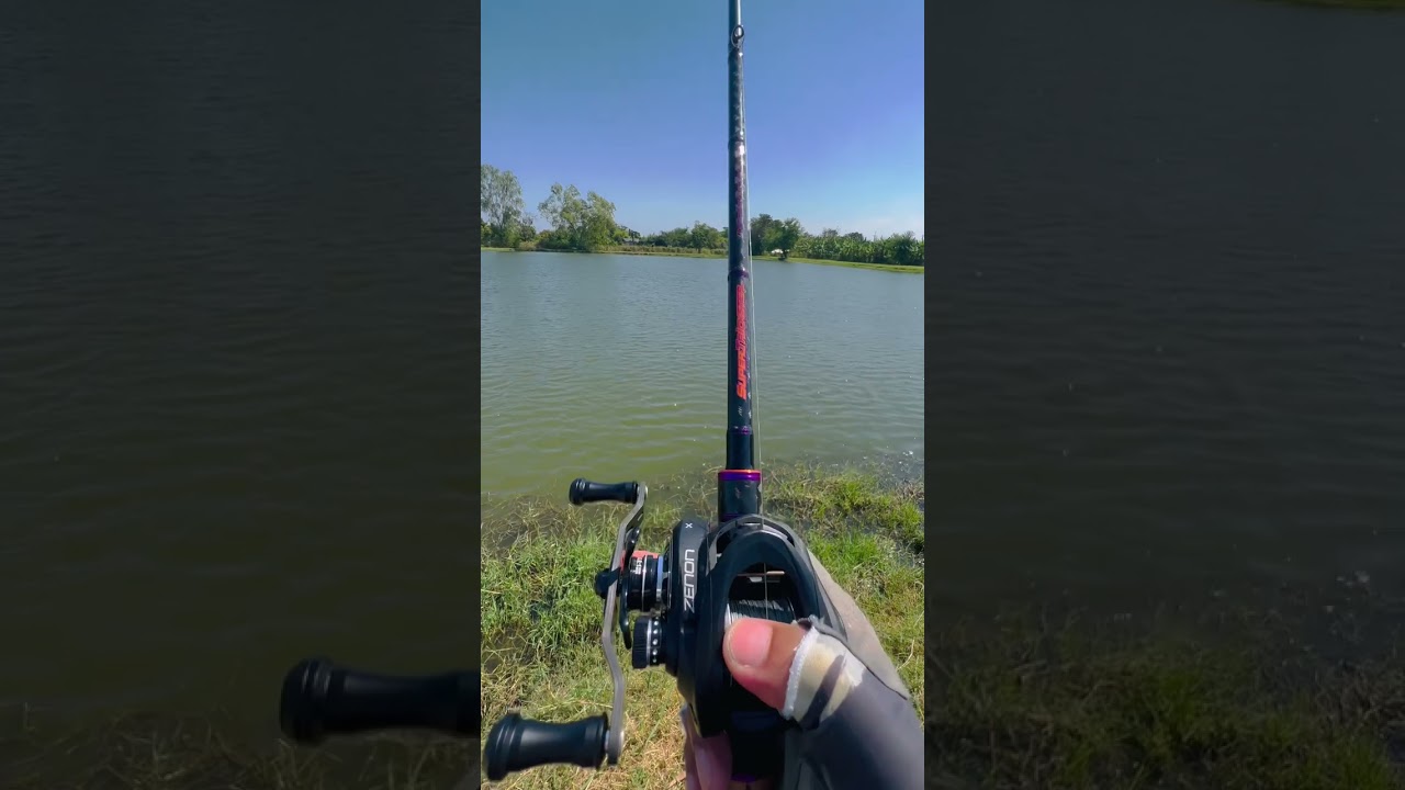 รอดูให้หายสงสัยกันได้เลยครับว่าทำไม... Jackson Supertrickster ถึงเป็นคันหายาก ใครๆก็อยากมีเก็บไว้