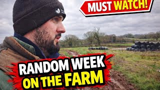 Random week down on the farm. #agriculture #farm #farmer 