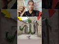 गेट के अलावा कुछ दिखाई दया hoto coment me jarur bataea 🕋🇸🇦 shortvideo vairal #trending islamic