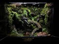 A Small Puddle In A Humid Jungle Dart Frog Paludarium | 축축한 정글 속 작은 웅덩이 다트프록 팔루다리움 | Indoor Garden