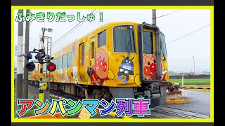 [Trains] Anime Anpanman Train, Various Japanese Trains, Shikoku　train video Japan railway crossing